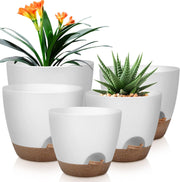 Self-Watering Plant Pot Set - 5 Sizes (10, 9, 8, 7.5, 7 Inch) with Saucers｜Indoor & Outdoor Plastic Planter with Drainage Holes｜Ideal for Houseplants, Herbs, and Flowers